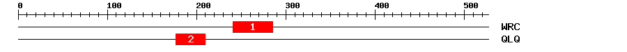 Signature Domain