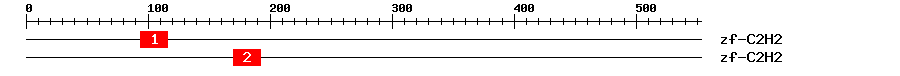 Signature Domain
