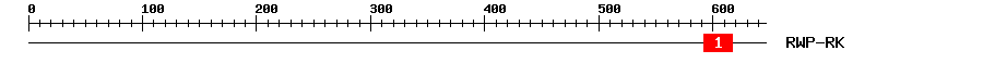 Signature Domain