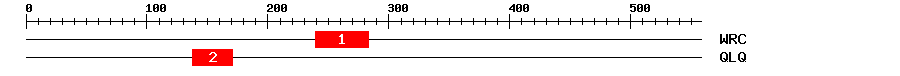 Signature Domain
