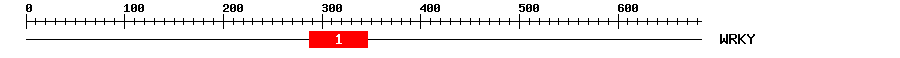 Signature Domain