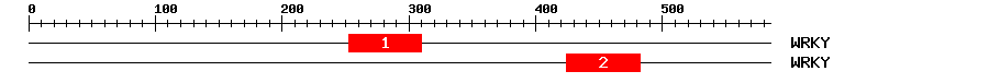Signature Domain