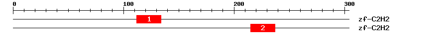 Signature Domain