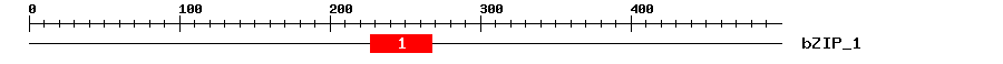 Signature Domain
