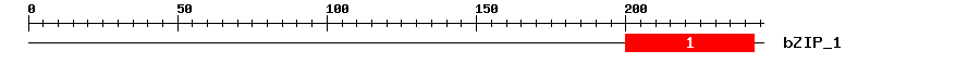Signature Domain
