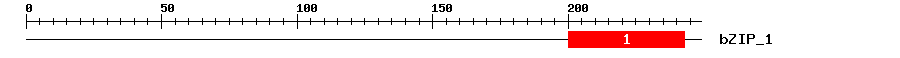 Signature Domain