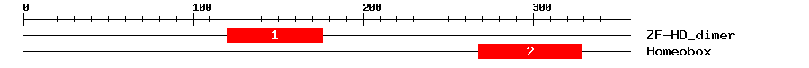 Signature Domain