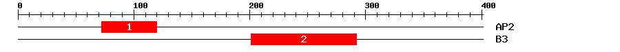 Signature Domain