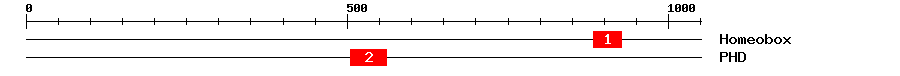Signature Domain