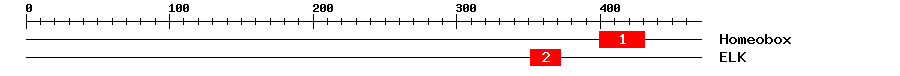 Signature Domain