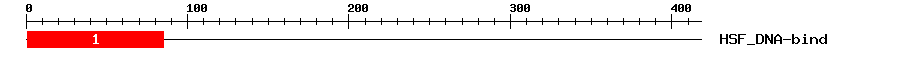 Signature Domain