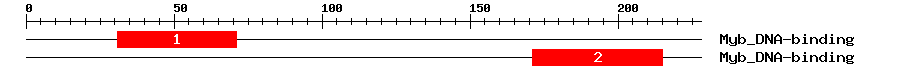 Signature Domain