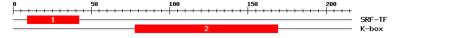 Signature Domain