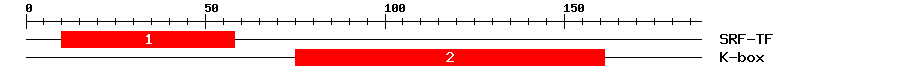 Signature Domain