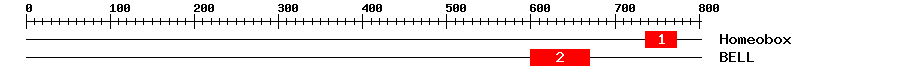 Signature Domain