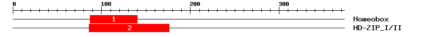 Signature Domain