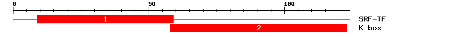 Signature Domain