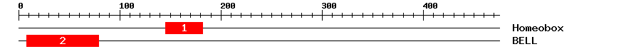 Signature Domain