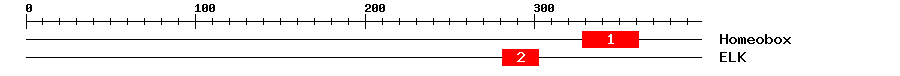 Signature Domain