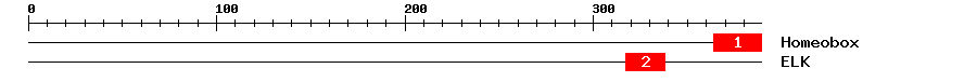 Signature Domain