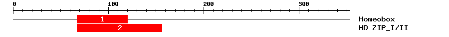 Signature Domain