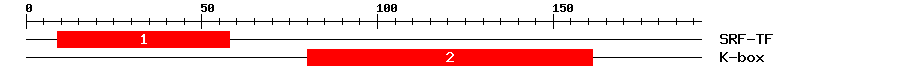 Signature Domain