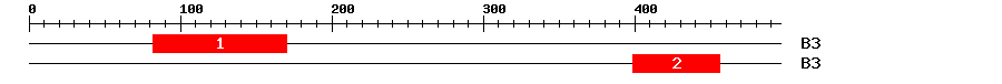 Signature Domain
