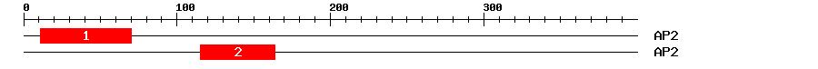 Signature Domain