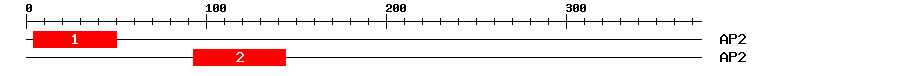 Signature Domain