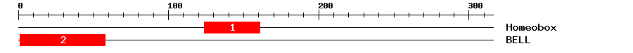 Signature Domain