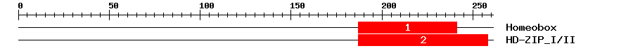 Signature Domain