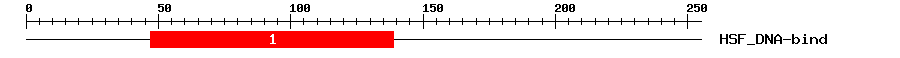 Signature Domain