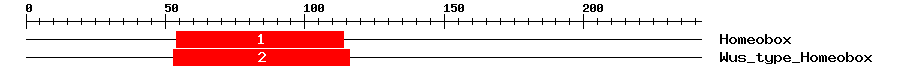 Signature Domain