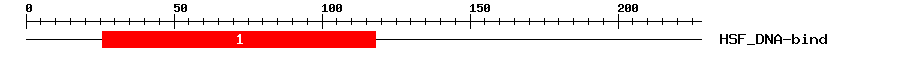 Signature Domain