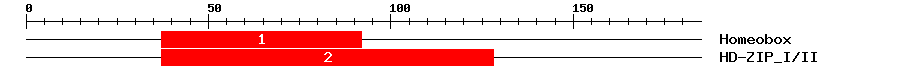 Signature Domain