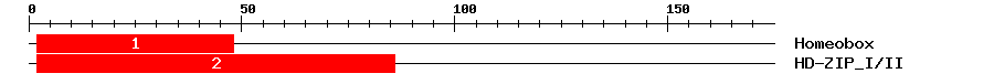 Signature Domain