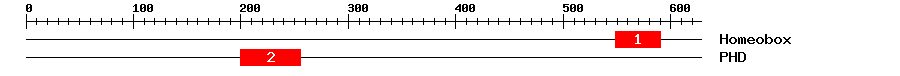Signature Domain