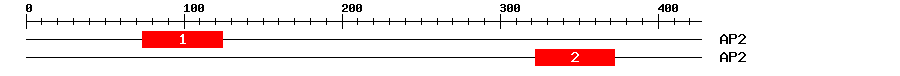 Signature Domain
