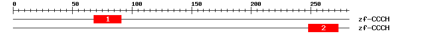 Signature Domain