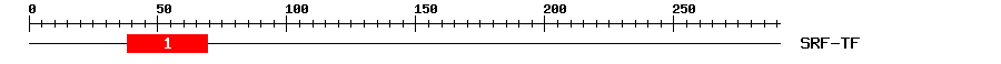 Signature Domain