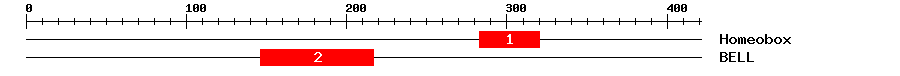 Signature Domain