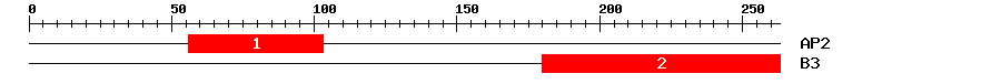 Signature Domain