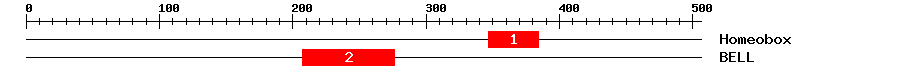 Signature Domain