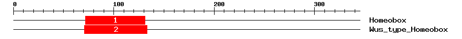 Signature Domain