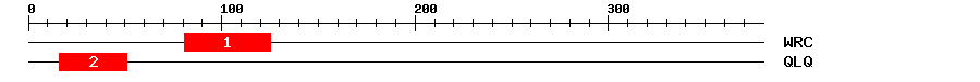 Signature Domain