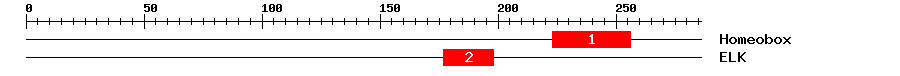 Signature Domain