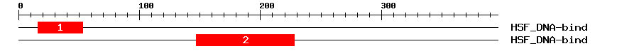 Signature Domain