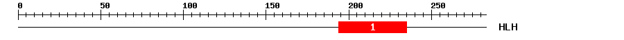 Signature Domain