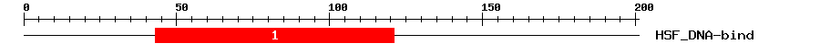 Signature Domain
