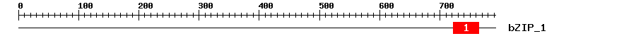 Signature Domain
